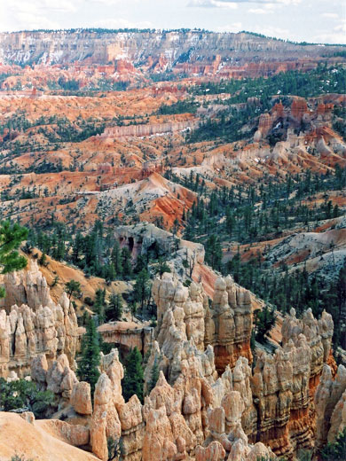 Hoodoos west of Fairyland Point