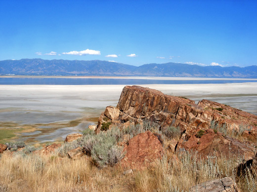 are dogs allowed on antelope island