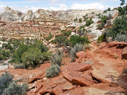 Typical view along the Frying Pan Trail