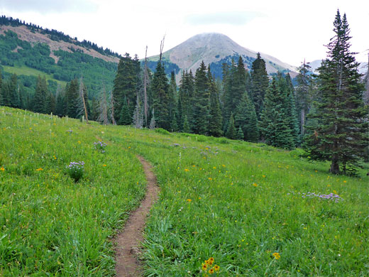 Meadow near Geyser Pass