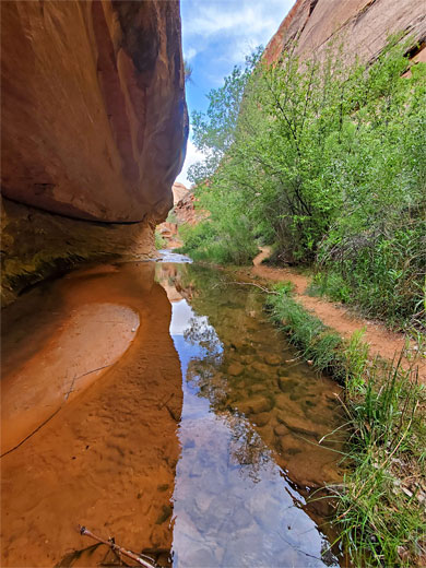 Reflections on a long pool