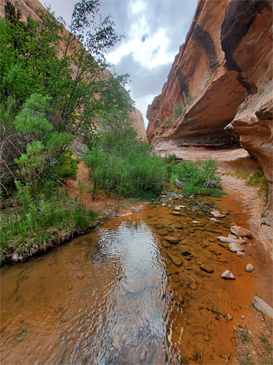 Stones in a shallow pool