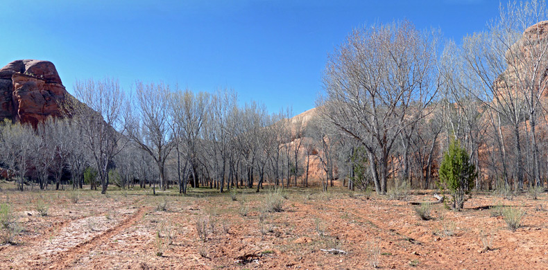 Flat canyon floor of the Gulch