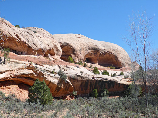 Domed cliffs on the east side of the Gulch