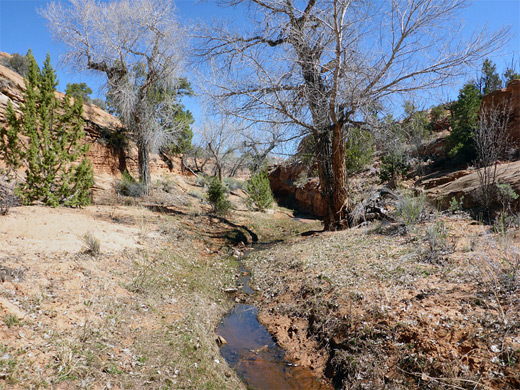 Tributary stream