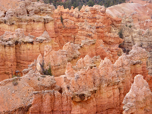 Formations near Bryce Point