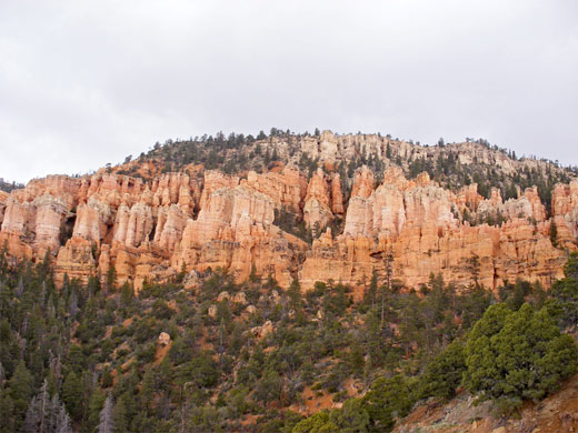 Cliffs below Bryce Point