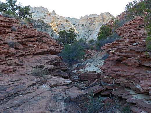 Red rocks