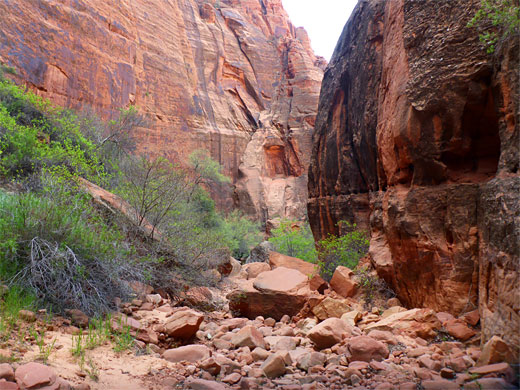 The rocky canyon