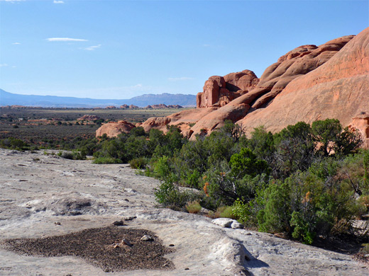 Red and white sandstone, Herdina Park