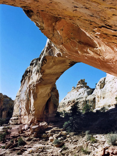 photograph