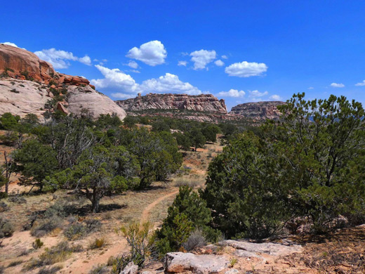 Trail through pinyon/juniper