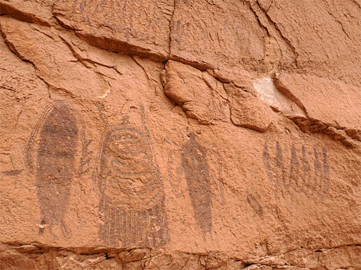 Intricate petroglyphs, including intestine man