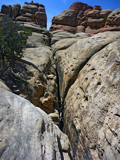 Above the Joint Trail