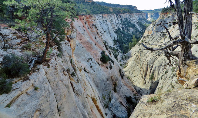 Steep cliffs at the upper end of Jolley Gulch