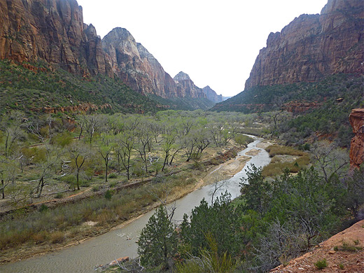 Kayenta Trail