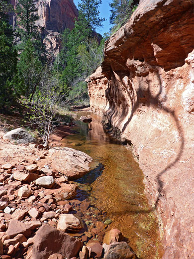 Low cliff beside the small stream in the canyon leading to Kolob Arch