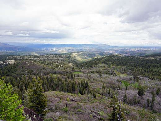 View south from Lava Point