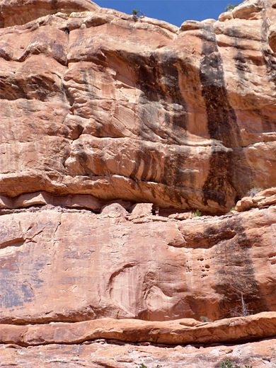 Lime Canyon ledge ruins