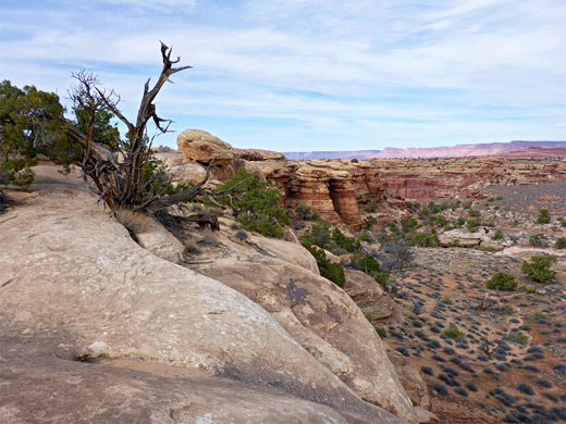 Canyon rim