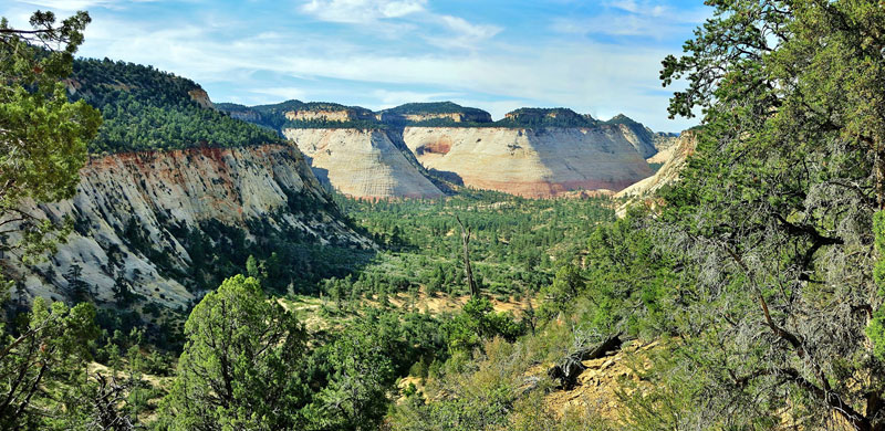 Lower Jolley Gulch