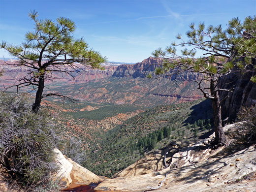 Trees at the rim of the plateau