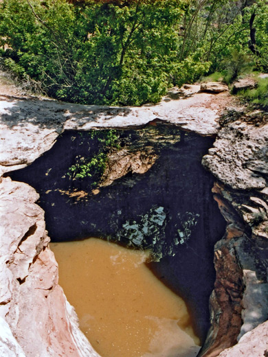 Pool Maverick Natural Bridge