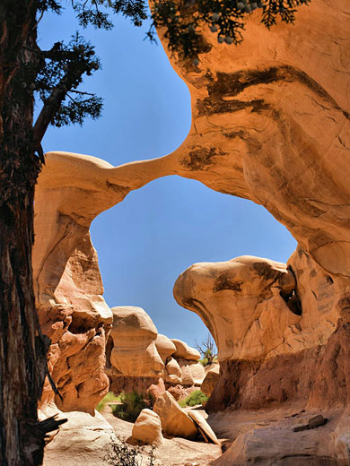 Metate Arch in Devils Garden