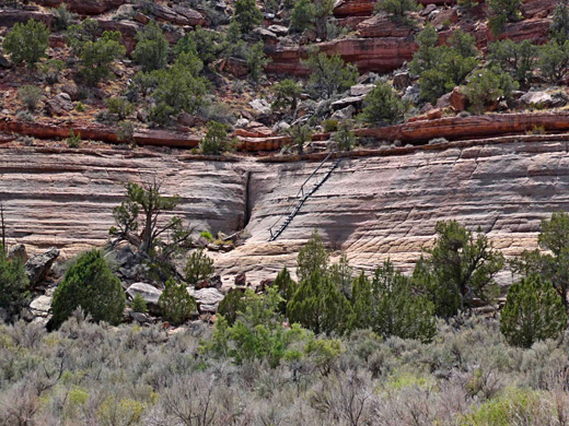 Cliff face with old wooden ladder