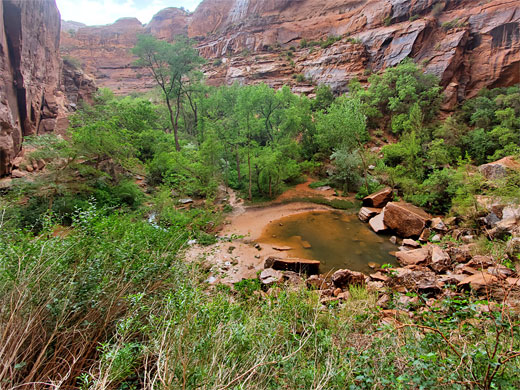 Moonflower Canyon