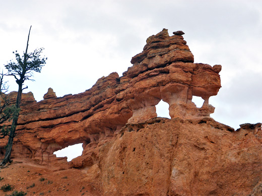 Eroded ridge above the trail to Mossy Cave