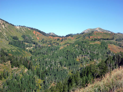 Ravine near Mt Nebo