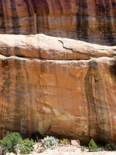 Sheer cliff