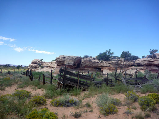 Corral along the Murphy Point Trail