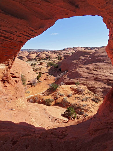 Skull Arch