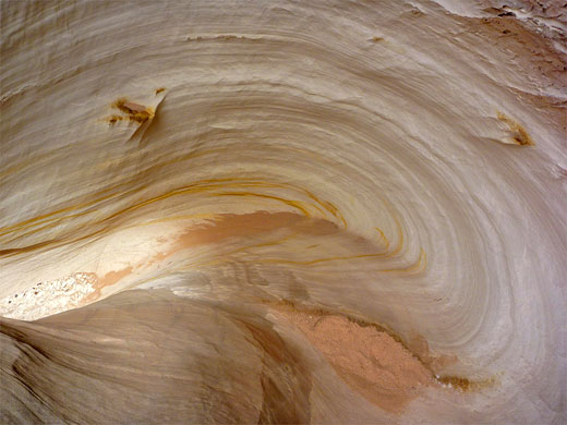 Above the chamber