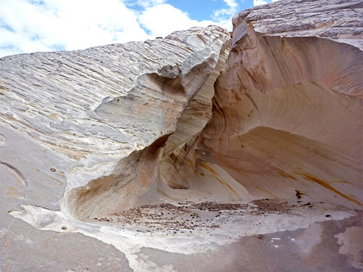 Lower edge of the Nautilus