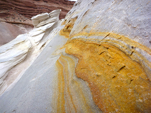 Orange and yellow banding