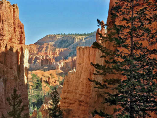 Narrow ravine - view south towards Inspiration Point