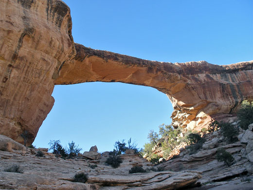 Owachomo Bridge - underneath