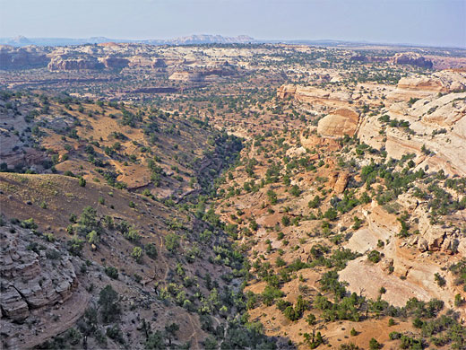 The canyon below Neck Spring