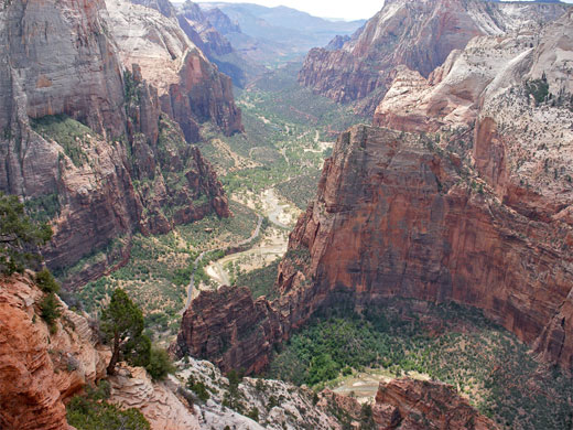 Cliffs of Zion Canyon