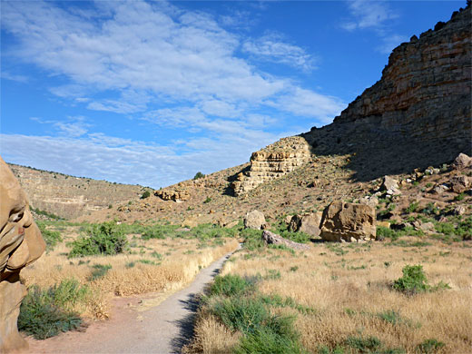 Path to the fossils