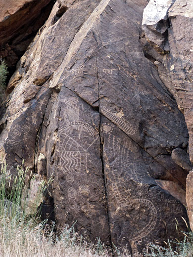 Intricate petroglyph panel