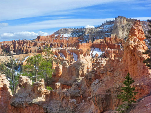 Red and orange hoodoos - view south towards Bryce Point