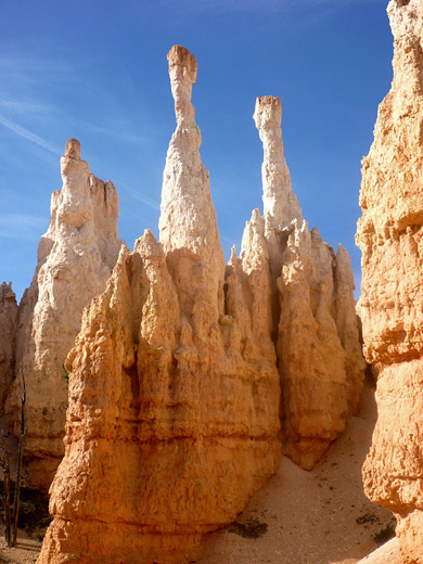 Narrow, light colored pinnacles