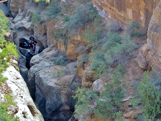 Canyoneers in Pine Creek