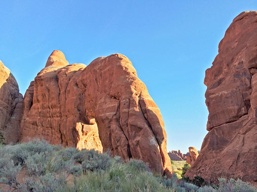 Pine Tree Arch in Devils Garden