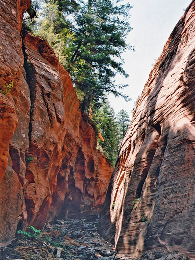 Pine Spring Wash, Pole Canyon