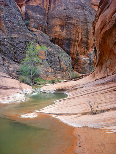 Orange cliffs, Quail Creek